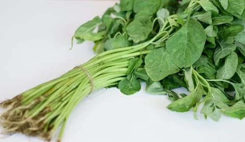 Spinach Stock Photos