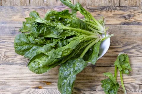 Spinach Stock Photos