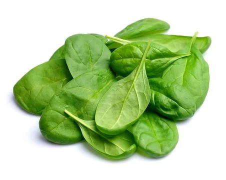Spinach Stock Photos