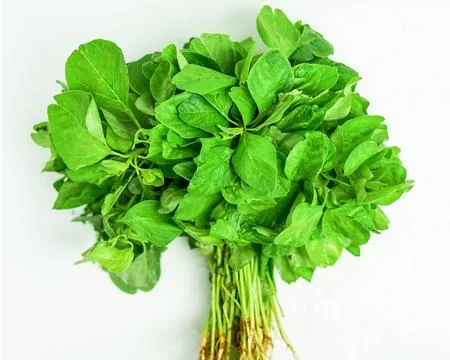 Spinach Stock Photos