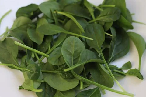 Spinach Stock Photos