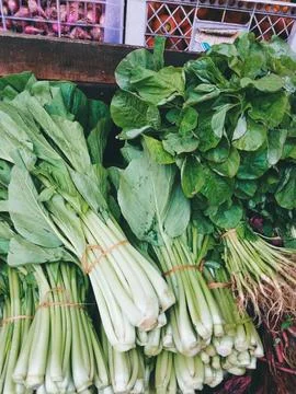 Spinach Stock Photos