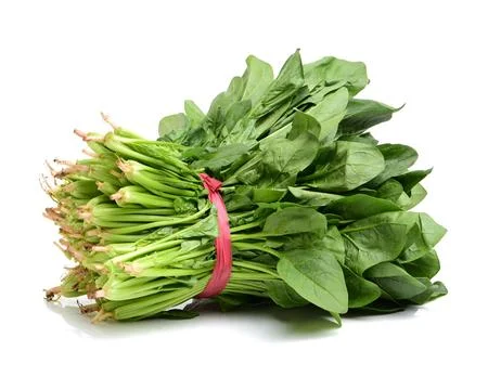 Spinach Stock Photos