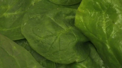Spinach salad macro loop - HD Stock Footage 399712