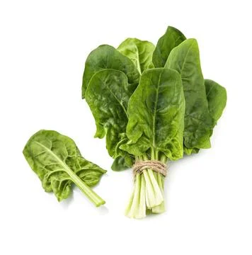 Spinach salad Foto stock