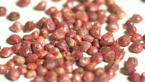 Spinach Seed, Macro Shot Seed, Organic Spinach Seed Stock Footage 153177952