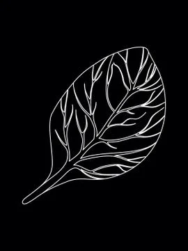 Spinach. Single Leaf isolated on black background. Line Vector illustration Illustrazione stock