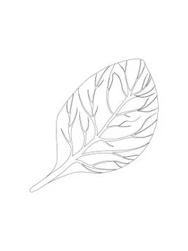 Spinach. Single Leaf isolated on white background. Line Vector illustration Stock Illustration