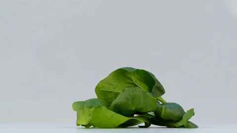 Spinach spinning on a white background Stock Footage 84590546