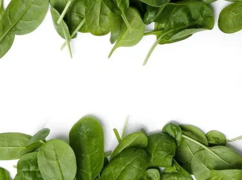 Spinach on the table Stock Photos