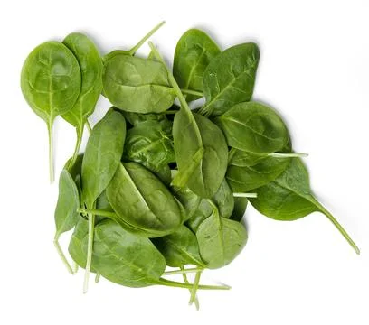 Spinach on the table Stock Photos