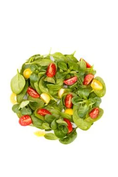Spinach tomato cherry salad Stock Photos