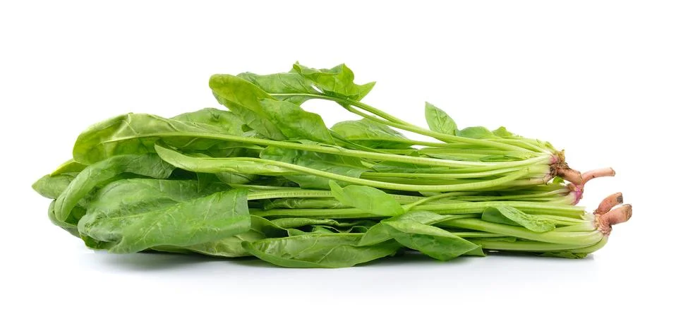 Spinach on white background Stock Photos