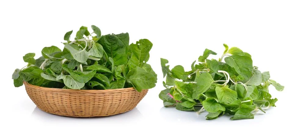 Spinach on white background Stock Photos