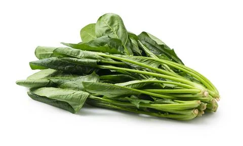 Spinach on a white background Stock Photos