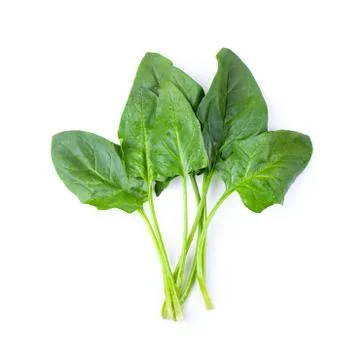 Spinach on white background. top view Stock Photos