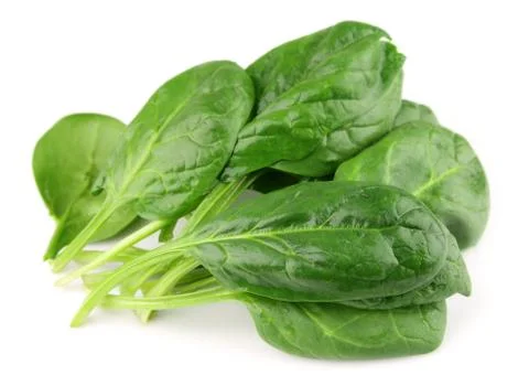Spinach on  white Stock Photos