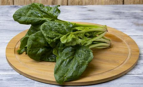 Spinach5 Stock Photos