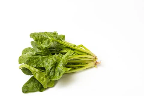 Spinach6 Stock Photos