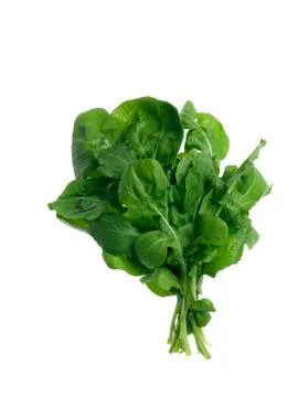 Spinaches Stock Photos