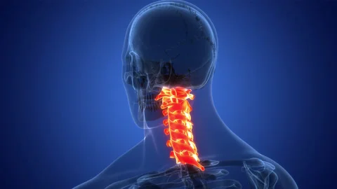 Spinal Cord Cervical Vertebrae of Human Skeleton Anatomy Animation Concept 库存影片 200860464
