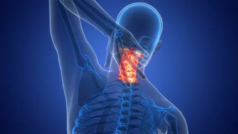 Spinal Cord Cervical Vertebrae of Human Skeleton System Anatomy Animation Stock Footage 266517409