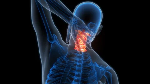 Spinal Cord Cervical Vertebrae of Human Skeleton System Anatomy Animation 스톡 동영상 266532462