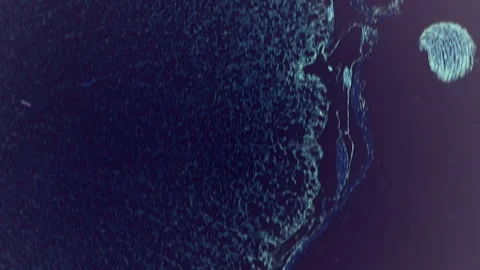 Spinal cord detailed structure under the microscope. Multiple magnification. 400 Stock Footage 265183771