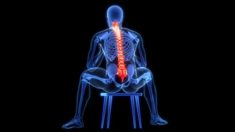 Spinal Cord Vertebral Column of Human Skeleton System Anatomy Animation Concept Stock Footage 284195588