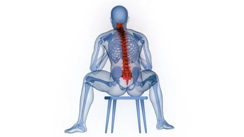 Spinal Cord Vertebral Column of Human Skeleton System Anatomy Animation Concept Stock Footage 331864285