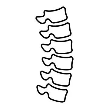 Spine bones icon in linear style. Stock Illustration