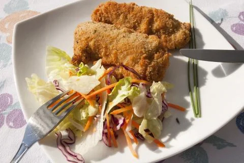 Spine Booklets Stock-Fotos