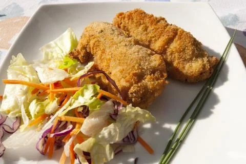 Spine Booklets Stock-Fotos