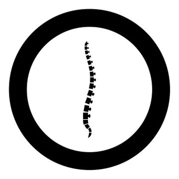 Spine human Spinal Lateral view Vertebras Dorsal vertebrae icon in circle rou Stock Illustration