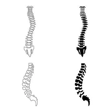 Spine icon Stock Illustration