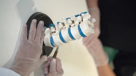 Spine model in doctor's office Stock-Footage 137571210