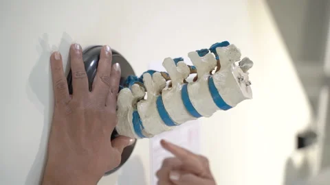 Spine model in doctor's office Vídeos de archivo 137571599