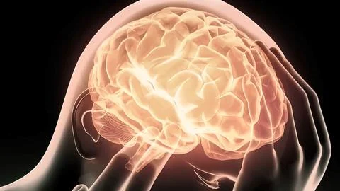 Spine system and brain 3d medical Stock Illustration