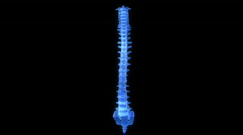 SpinespinHT Stock Footage 765129