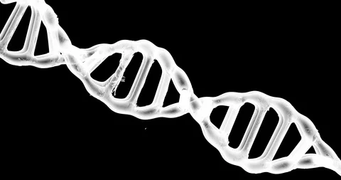 Spining DNA with Alpha in 4K ProRes Version. Stock Footage 110892928