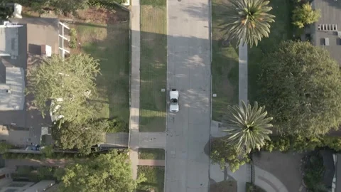 Spining drone, Palm tree street, Los Angeles, California Drone  4K Stock Footage 165897209