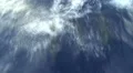 Spinner dolphins at the bow of a boat HD Footage