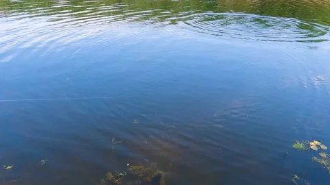 Spinner passage in river clear water 库存影片 196804372