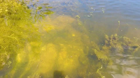 Spinner passage in river clear water Stock-Footage 196804538