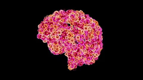 Spinning 3d human brain symbol with hollyhocks flowers on black background Stock Footage 311161297