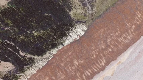 Spinning Aerial Top-Down View of Layered Coastal Textures and Sea Algae Stock Footage 309764068