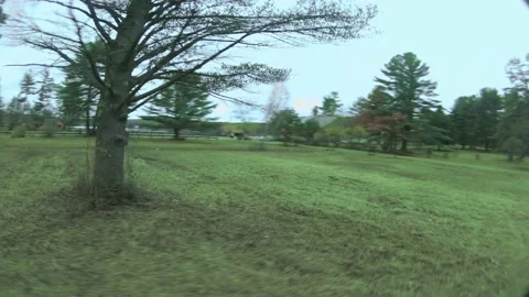 Spinning Around Tree To The Top Video stock 201125003