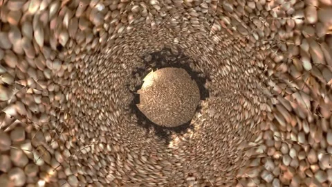 Spinning ball 35 Stock Footage 273144786