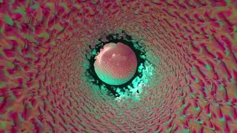 Spinning ball 46 Stock Footage 273282822