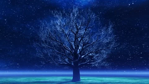 A spinning bare winter tree below the starry sky and mist on the horizon Stock Footage 246789932